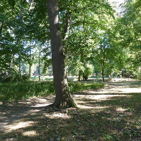 Ferienwohnung Mit Brockenblick Langenstein Екстериор снимка