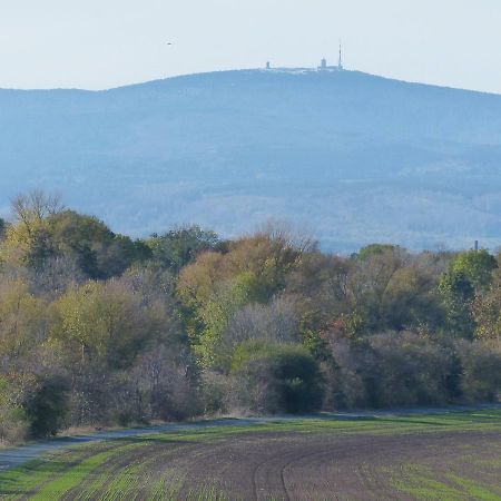 Ferienwohnung Mit Brockenblick Langenstein Екстериор снимка