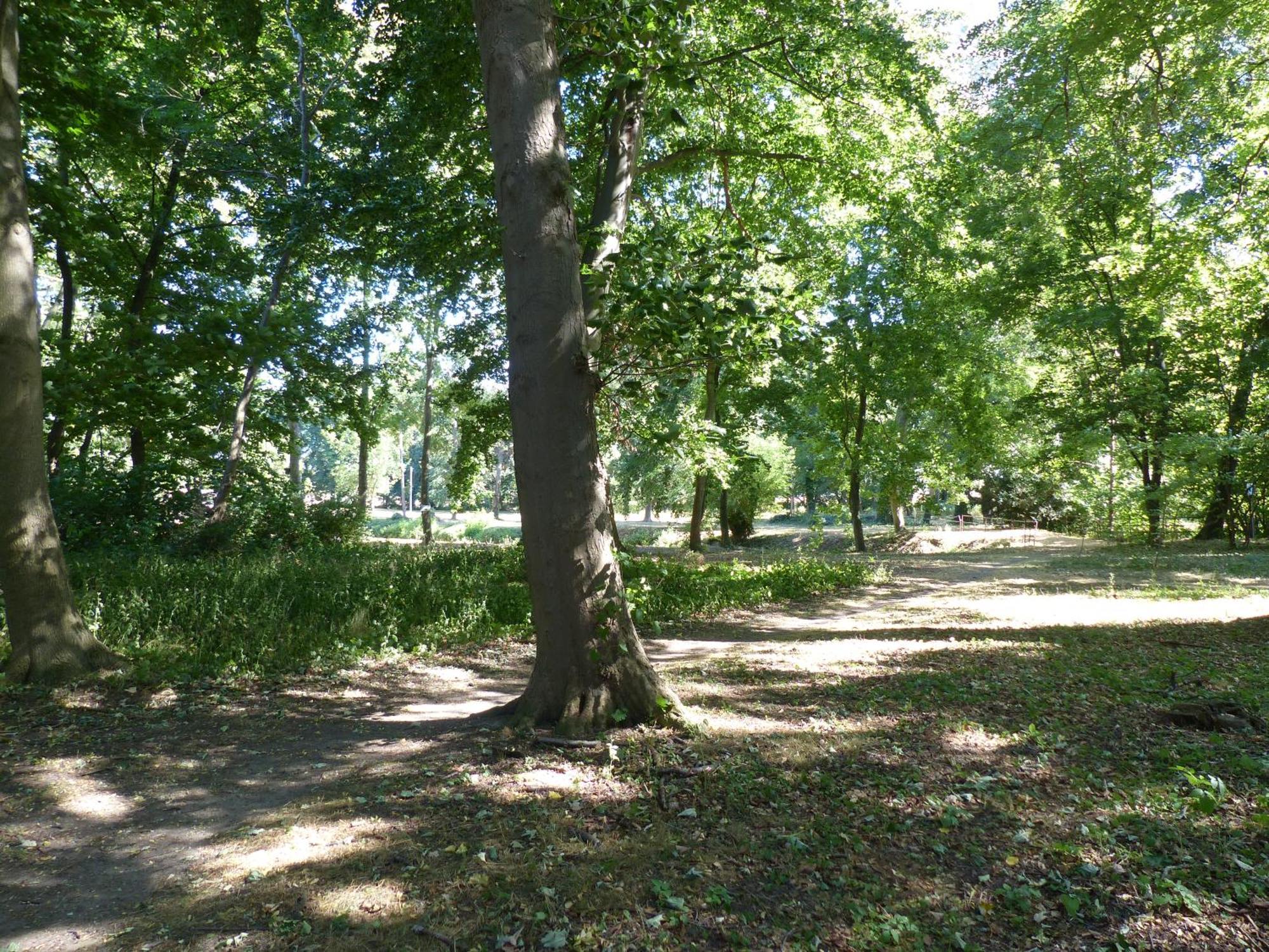 Ferienwohnung Mit Brockenblick Langenstein Екстериор снимка